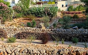 Guest House El Angelito de Olivas